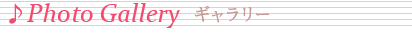 title5b.png